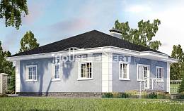 100-001-П Проект одноэтажного дома, бюджетный домик из бризолита Сердобск, House Expert